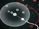 Axon - Fun addictive quick-click game, try to get as big as possible...