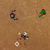 Medieval Rampage - Use your bow to hold off the hordes of enemies