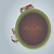 World Defense - Spin your earth to defend it from meteors.